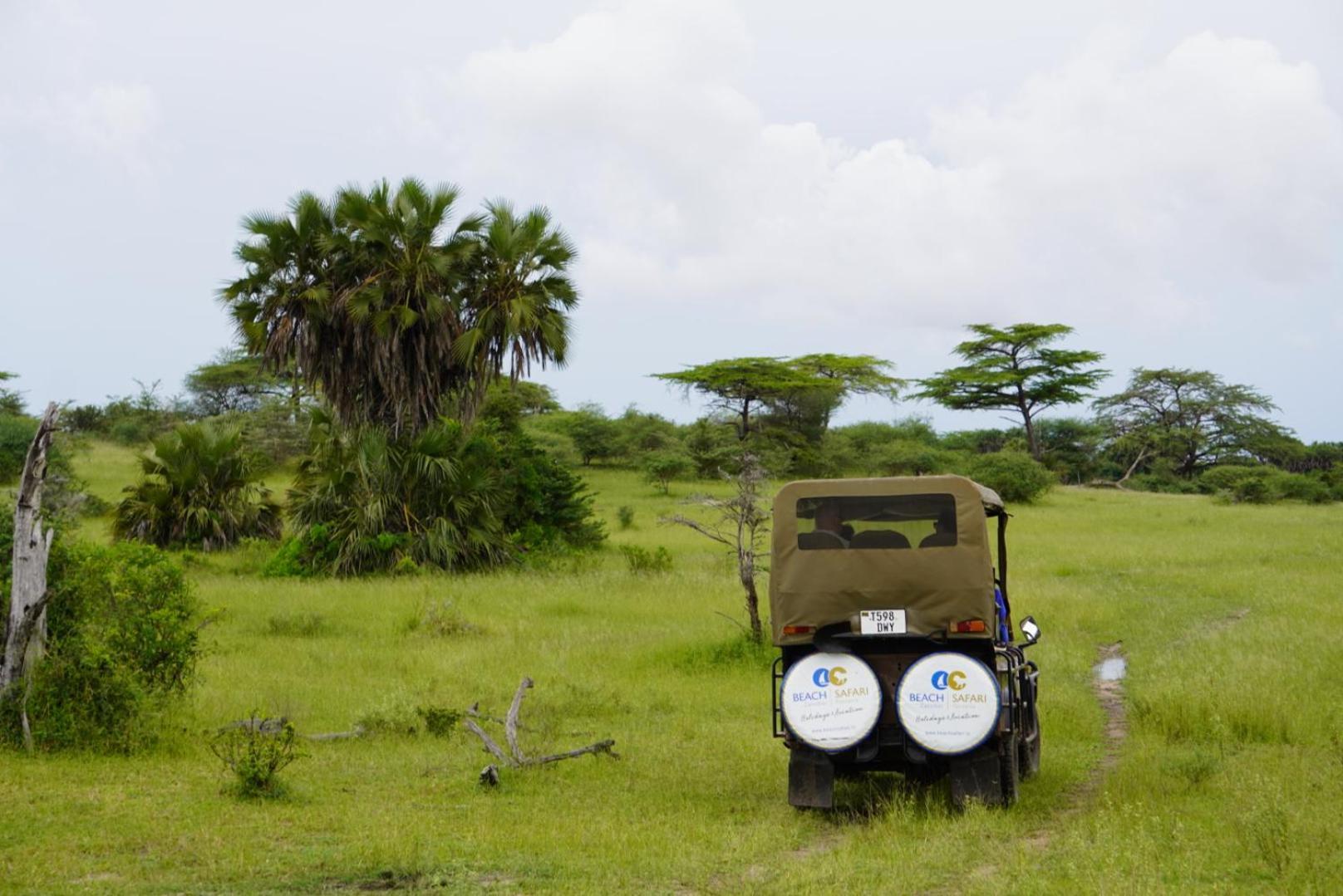 Villa Africa Safari Nyerere Kwangwazi Exterior foto